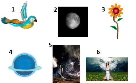 imagen.png