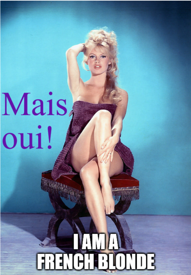 Screenshot 2022-07-09 at 19-24-24 Brigitte Bardot Meme Generator - Imgflip.png
