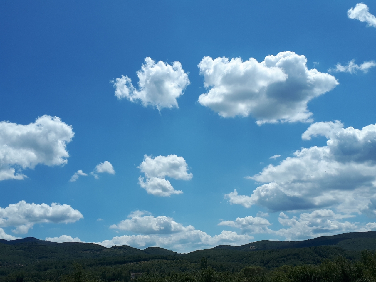 20250718_132924.jpg