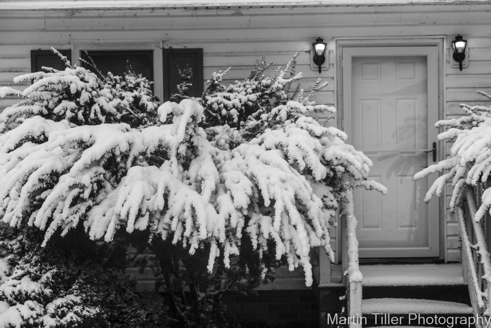 Snowfall black and white (6 of 6).jpg