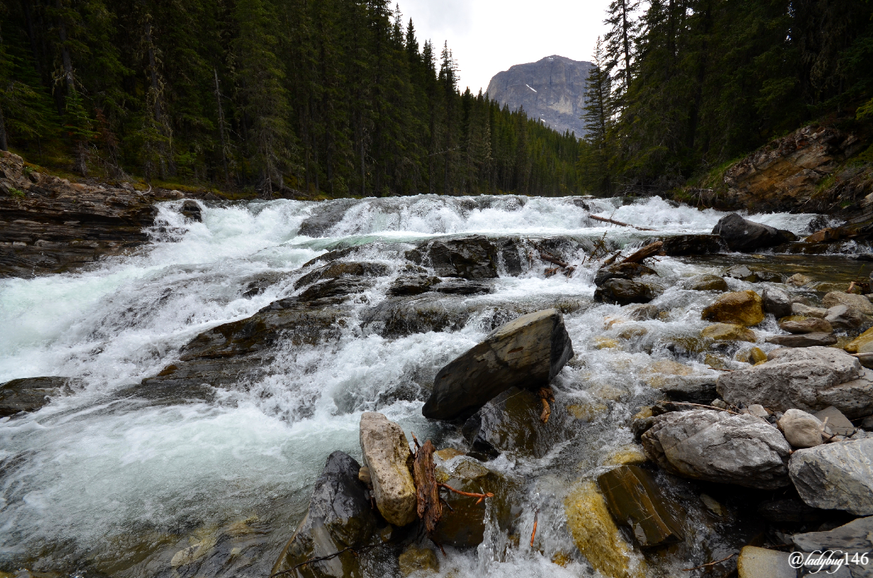 sheep valley provincial park.jpg