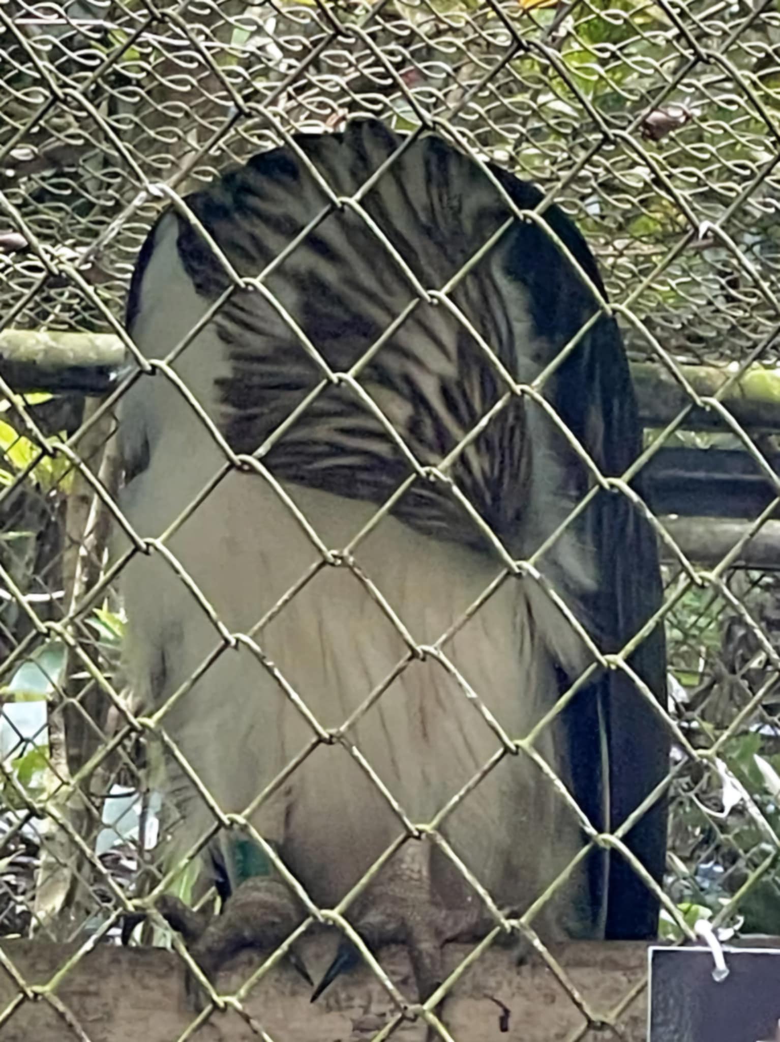 Messenger_creation_CF5D65EE-441A-4E3C-B171-8310450EEA2E.jpeg