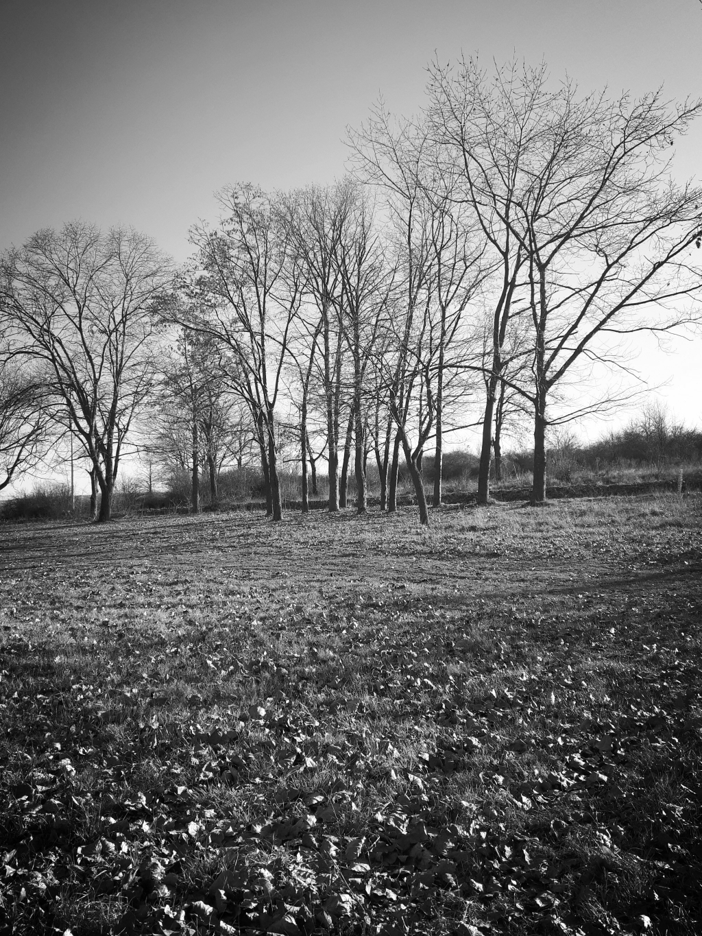 20230108_141958.jpg