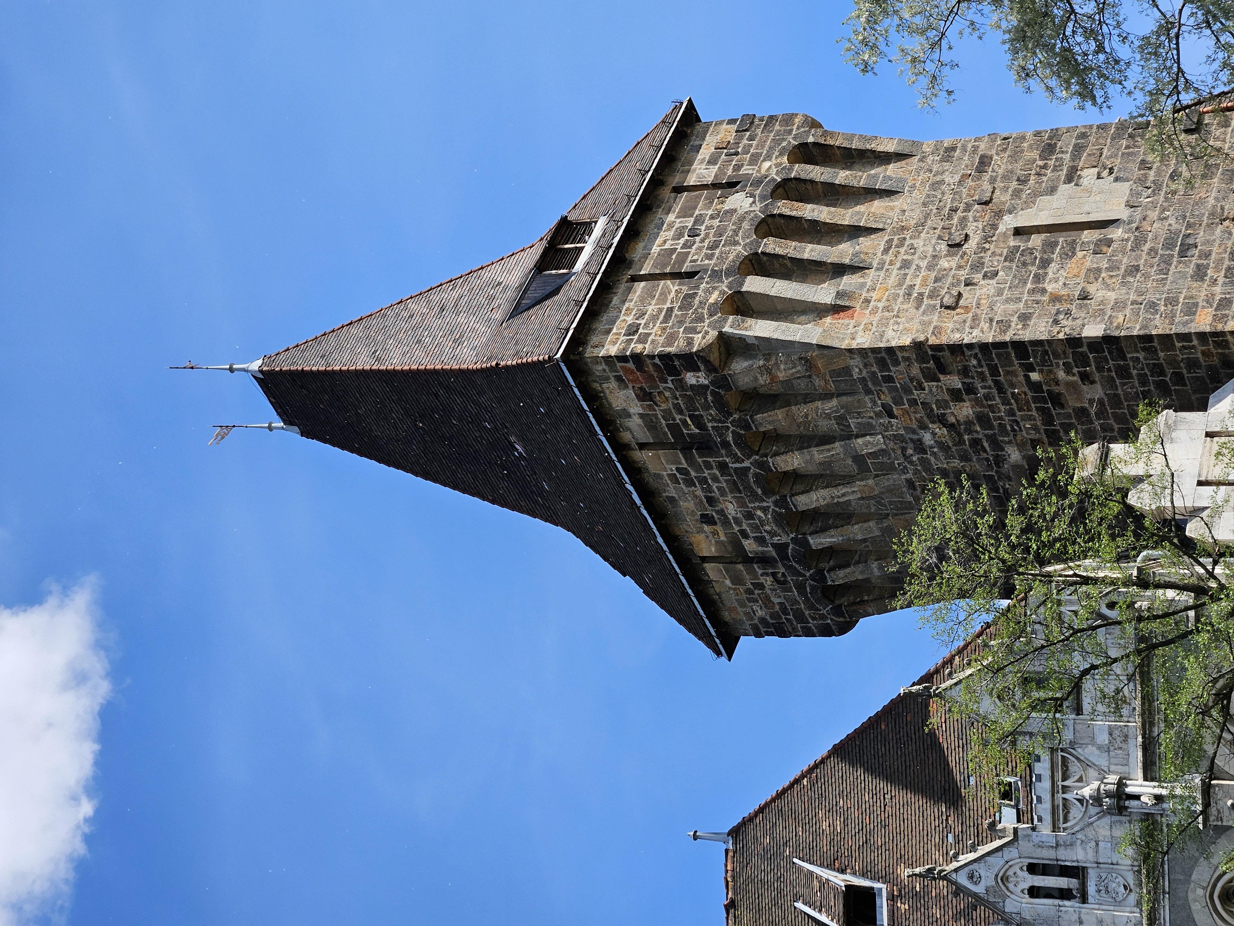 20250420_145558.jpg