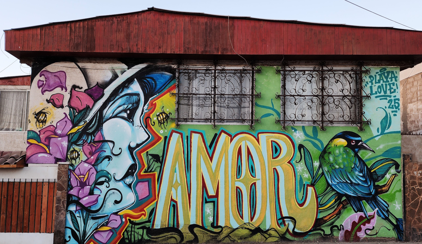 antofagasta-streetart-264.jpg