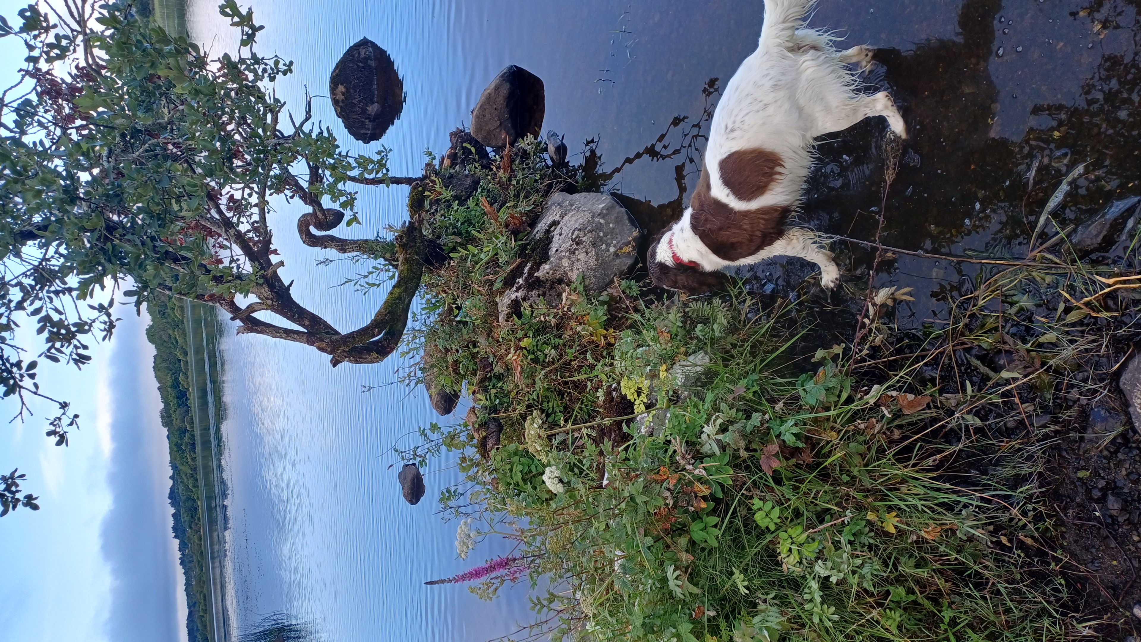 IMG-20250729-WA0028.jpeg
