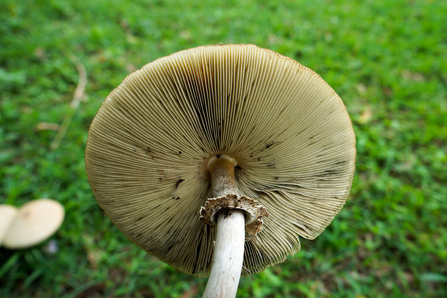 DSC00123.JPG