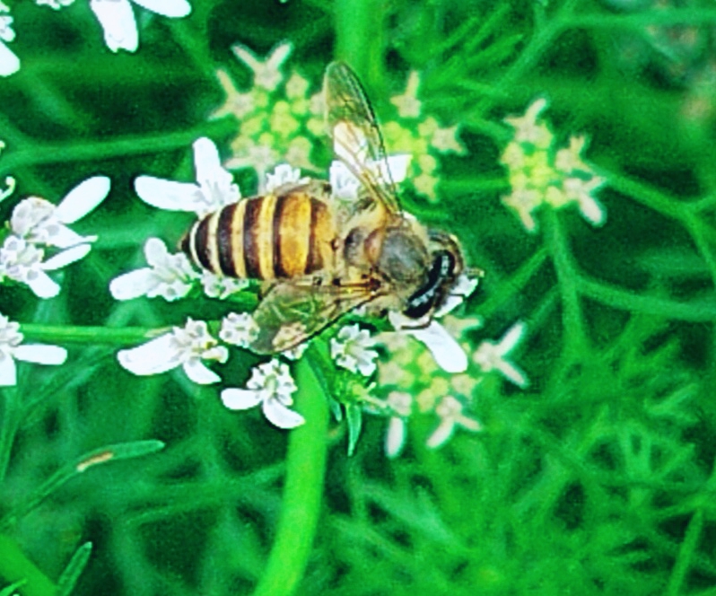 BeautyPlus_20250520131104290_save.jpg