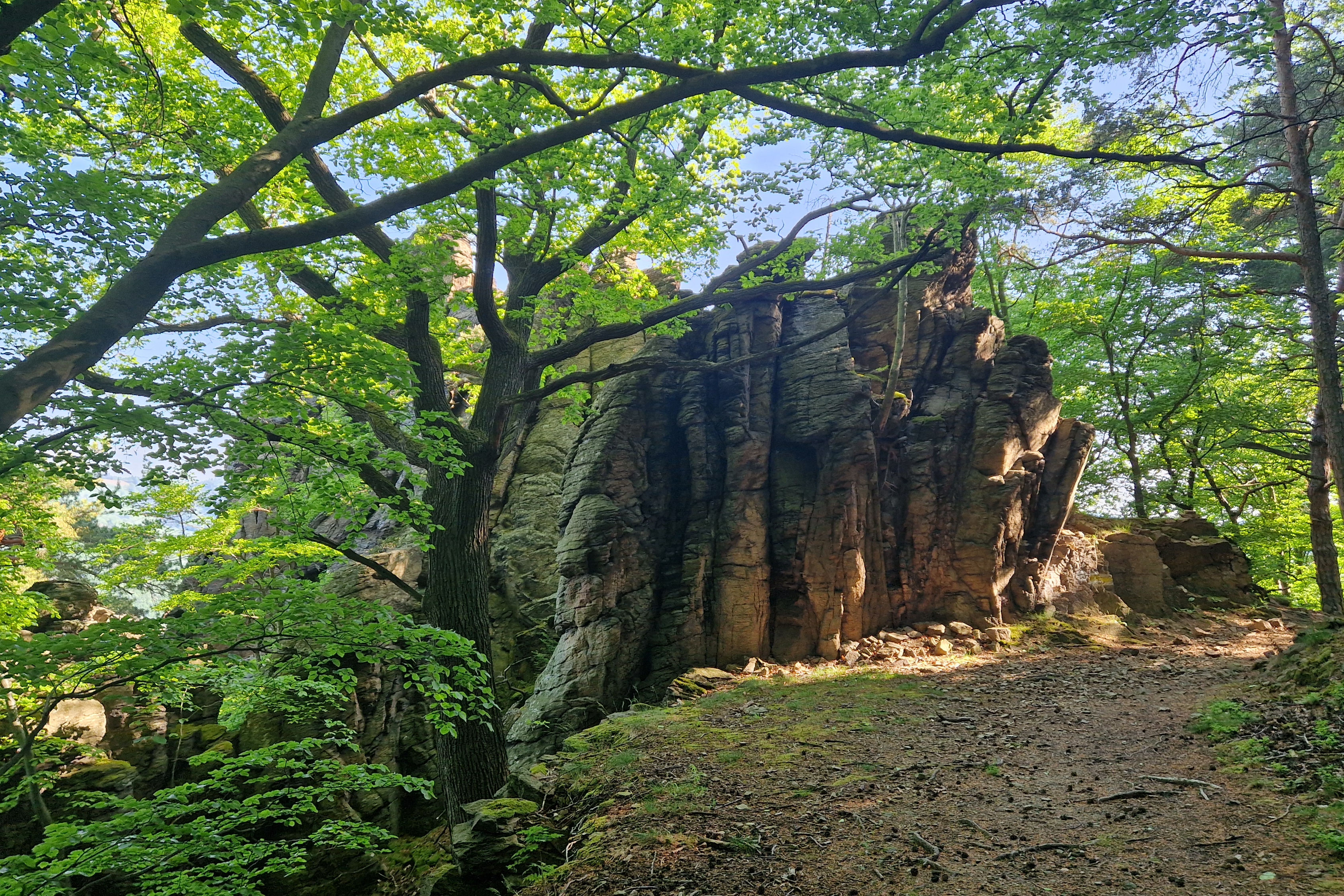 fahnenwand.jpg