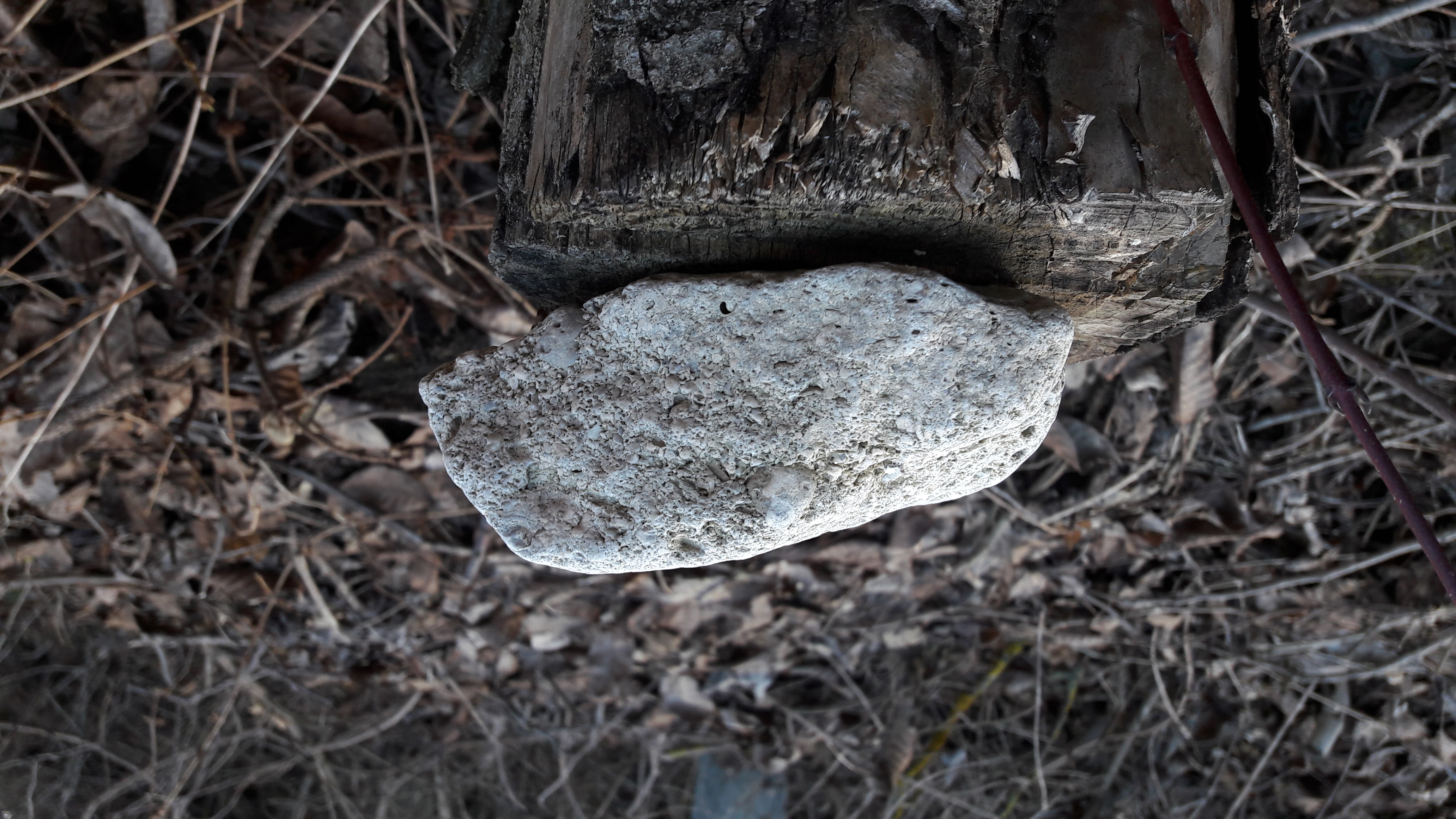 Grounds-Rock-Publicdomain (38).jpg