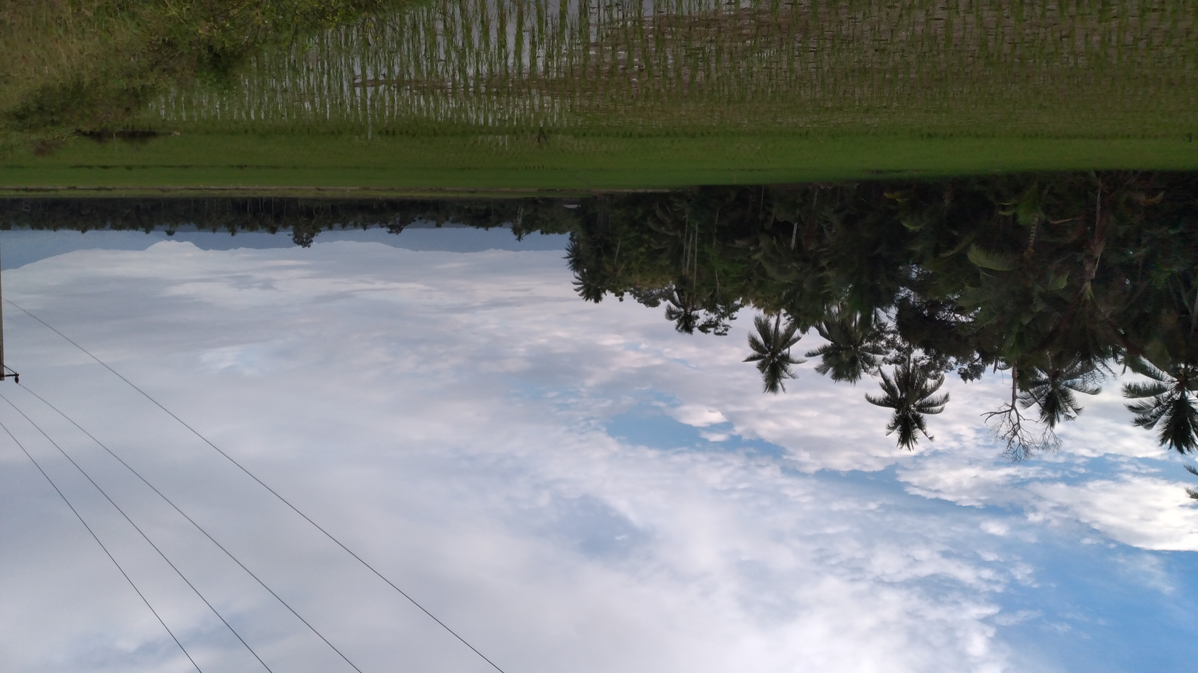 20220924_070501.jpg