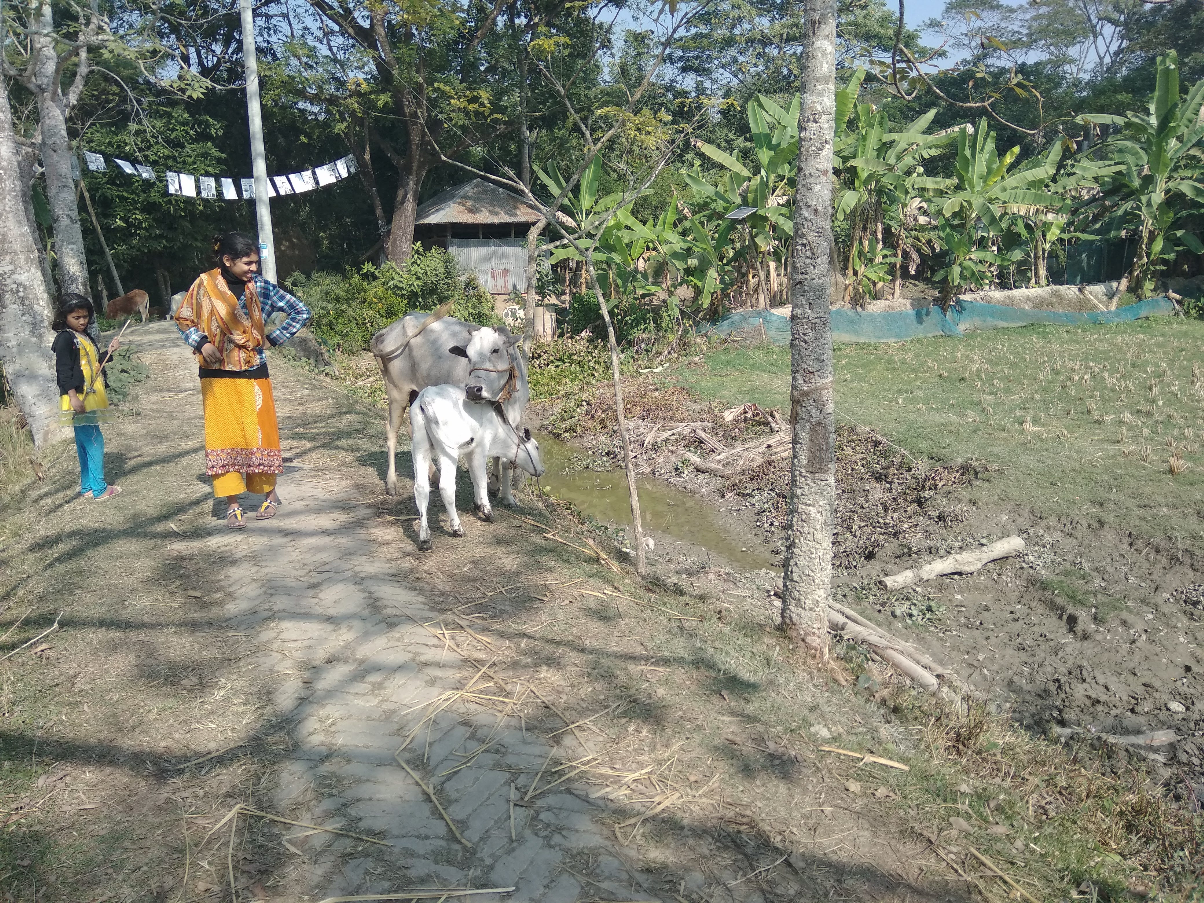 IMG_20181229_110327.jpg