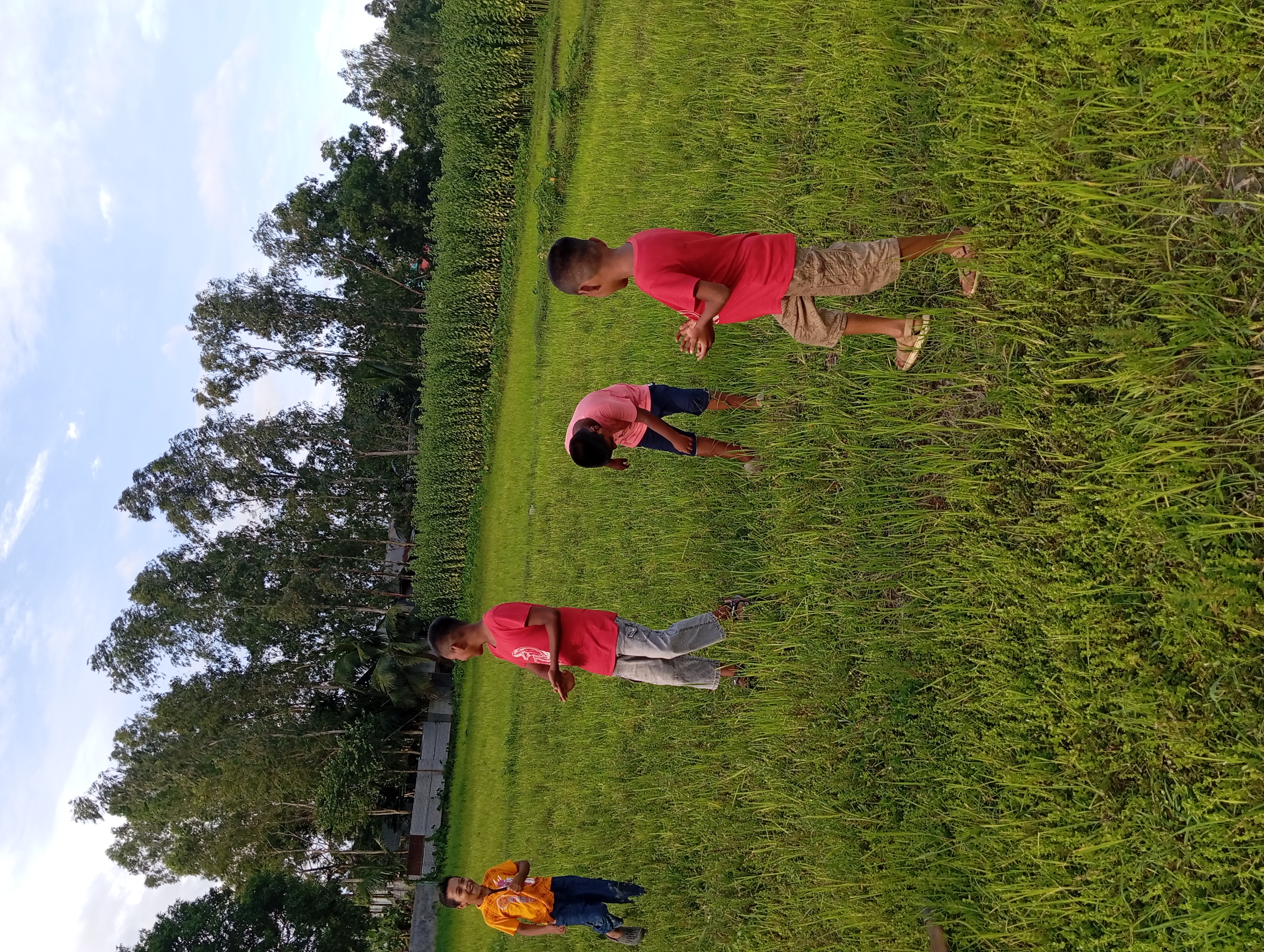 IMG_20250725_164306.jpg
