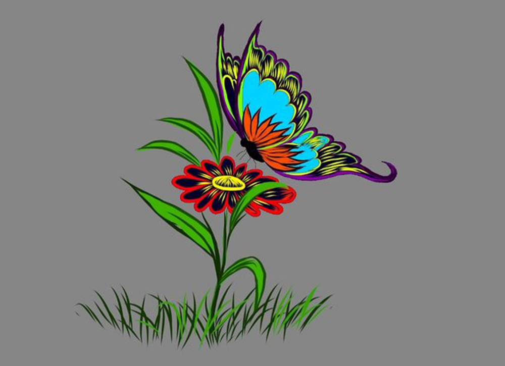 butterfly and flowers | Butterfly drawing, Butterfly drawing images, Flower  drawing
