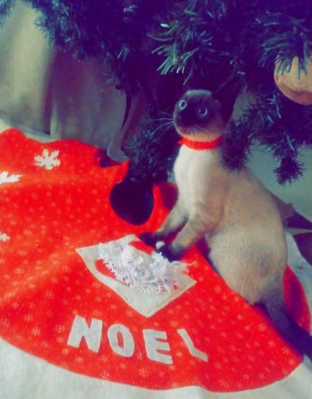 Navi Esperando lregalo.jpg