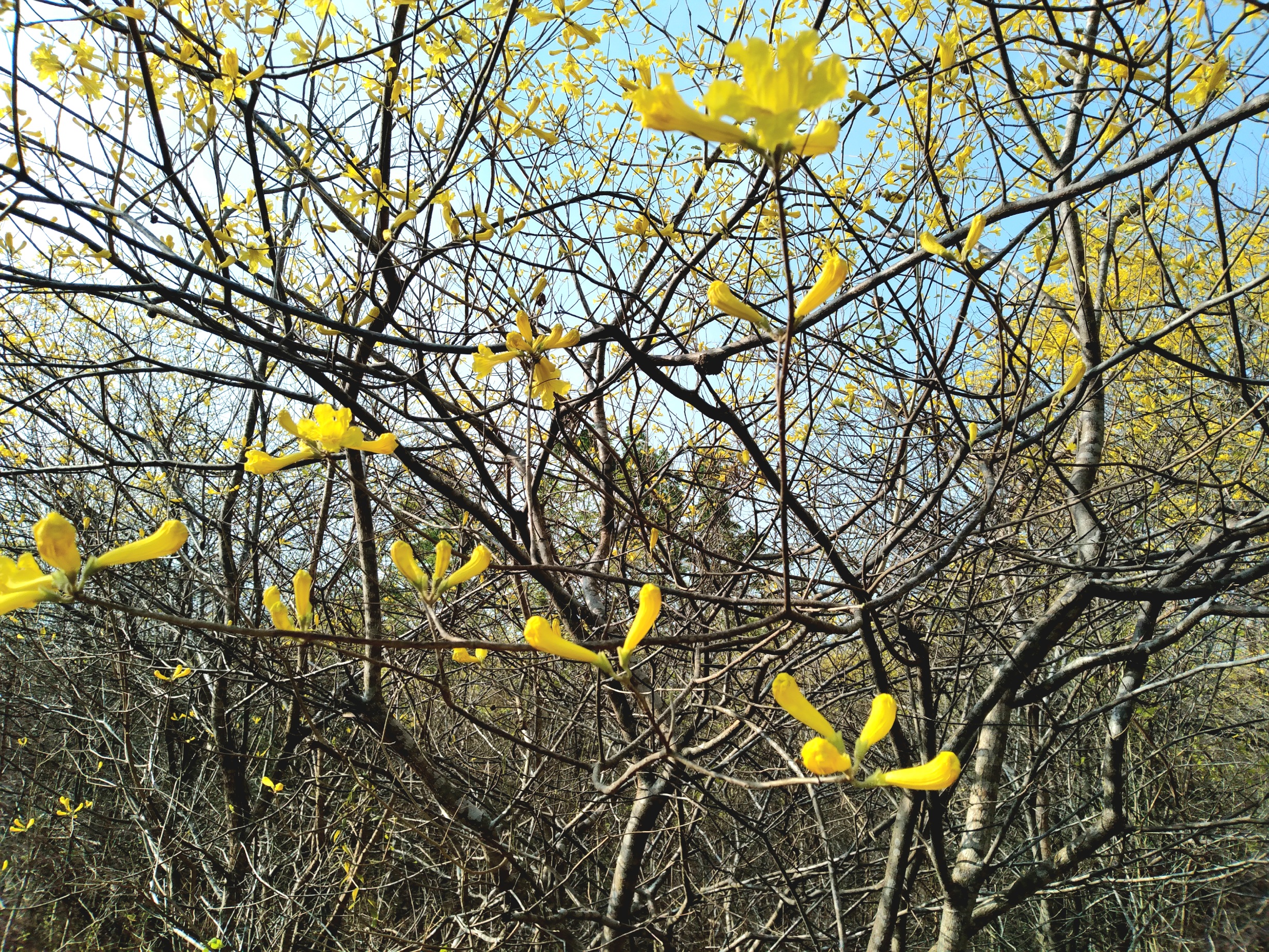 20250321_090251.jpg