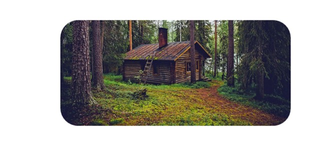 cabin-in-woods.jpg