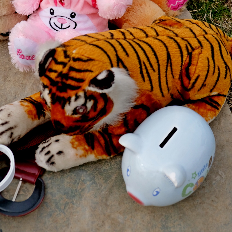 DSCF8487-fs_crfs-tiger and pig-steemit.jpg