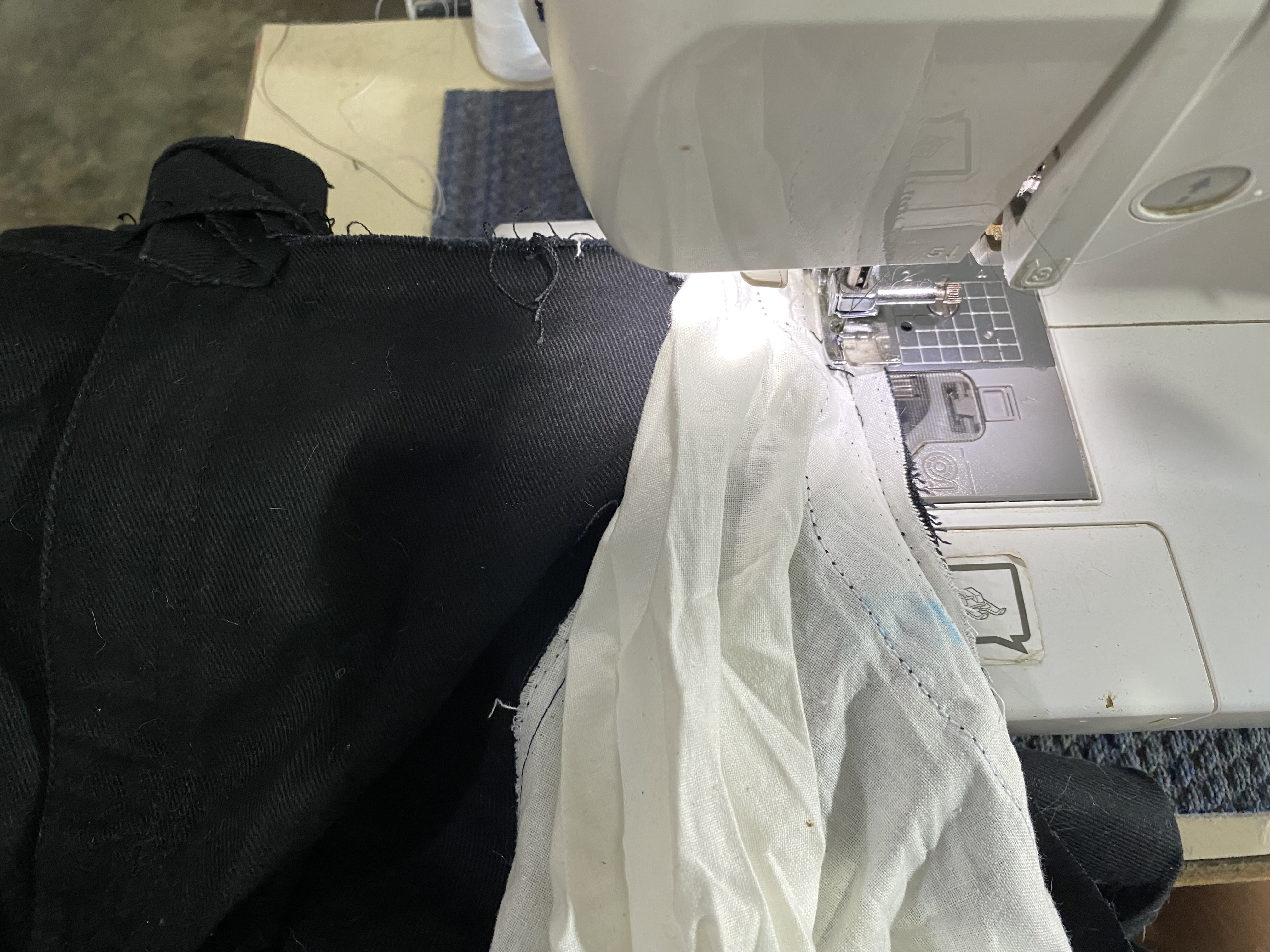 IMG_1284.jpeg