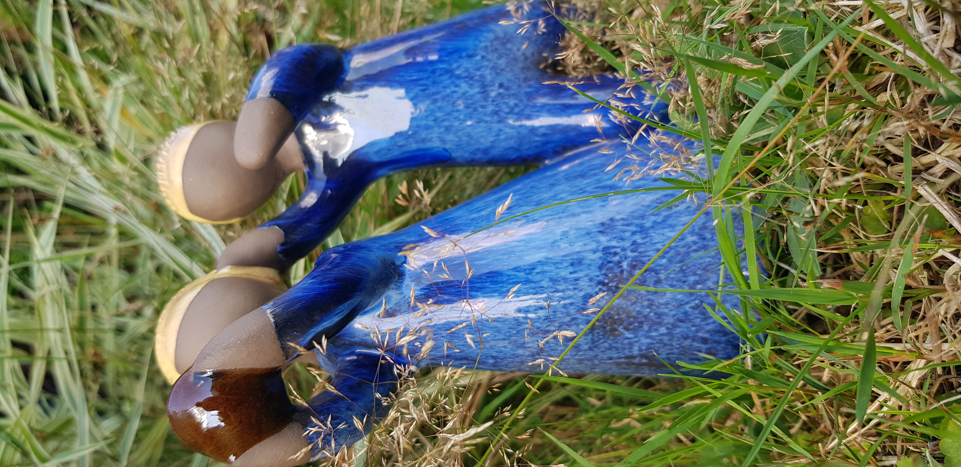 20240806_164826.jpg