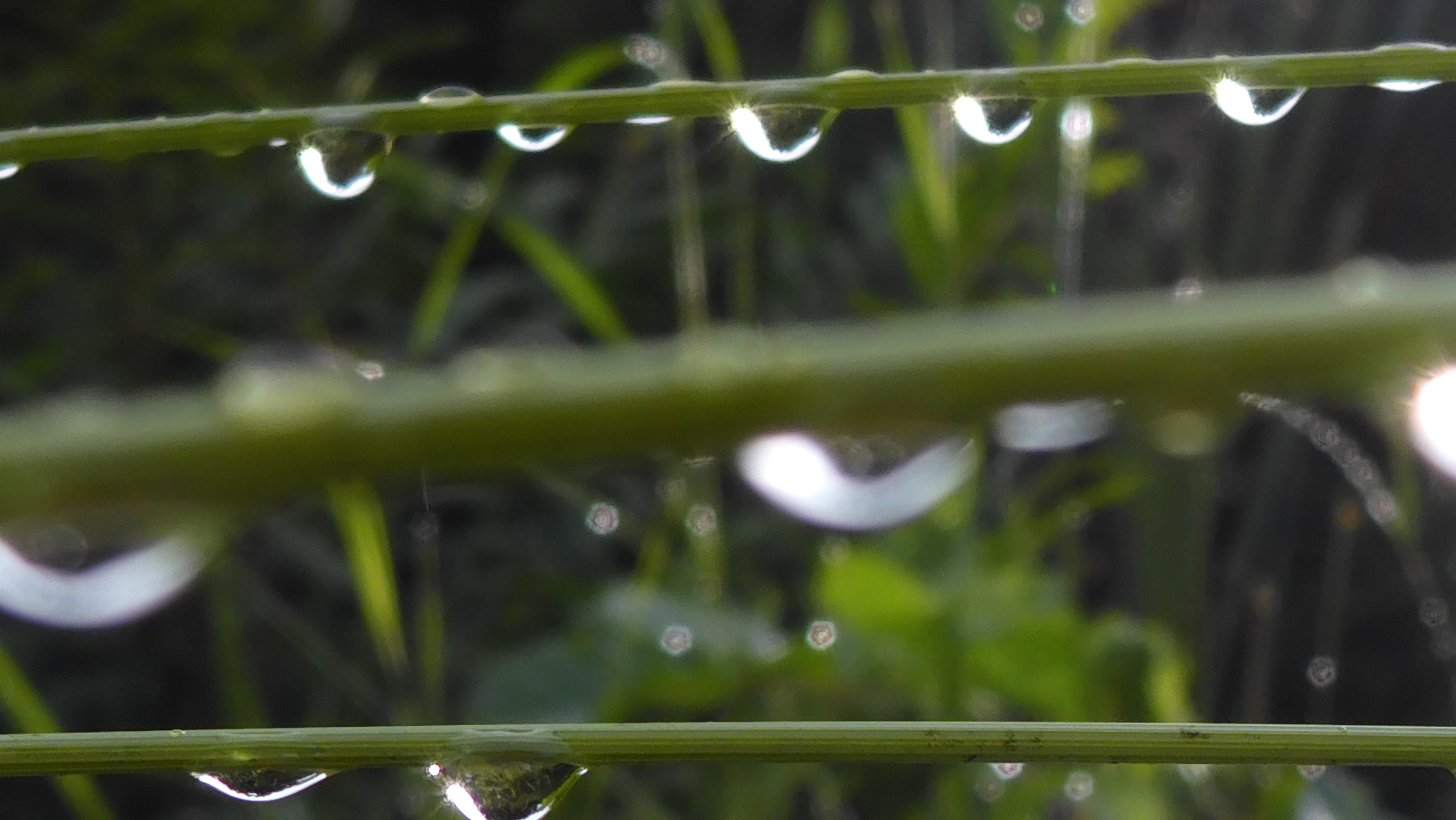 Waters-Droplets-Drops-Wet-Publicdomain (56).JPG