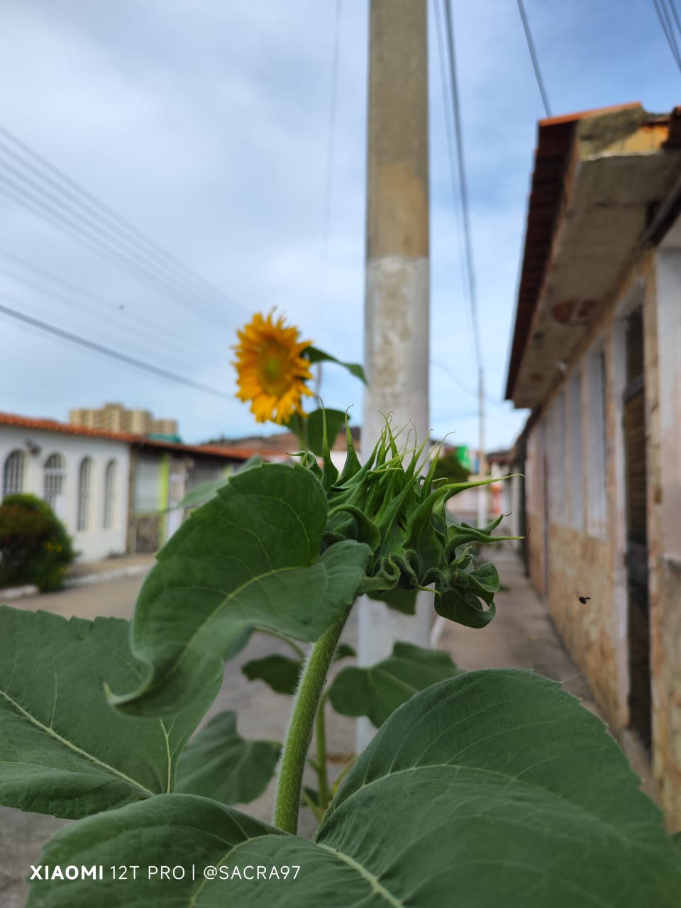 Sin título-3.jpg