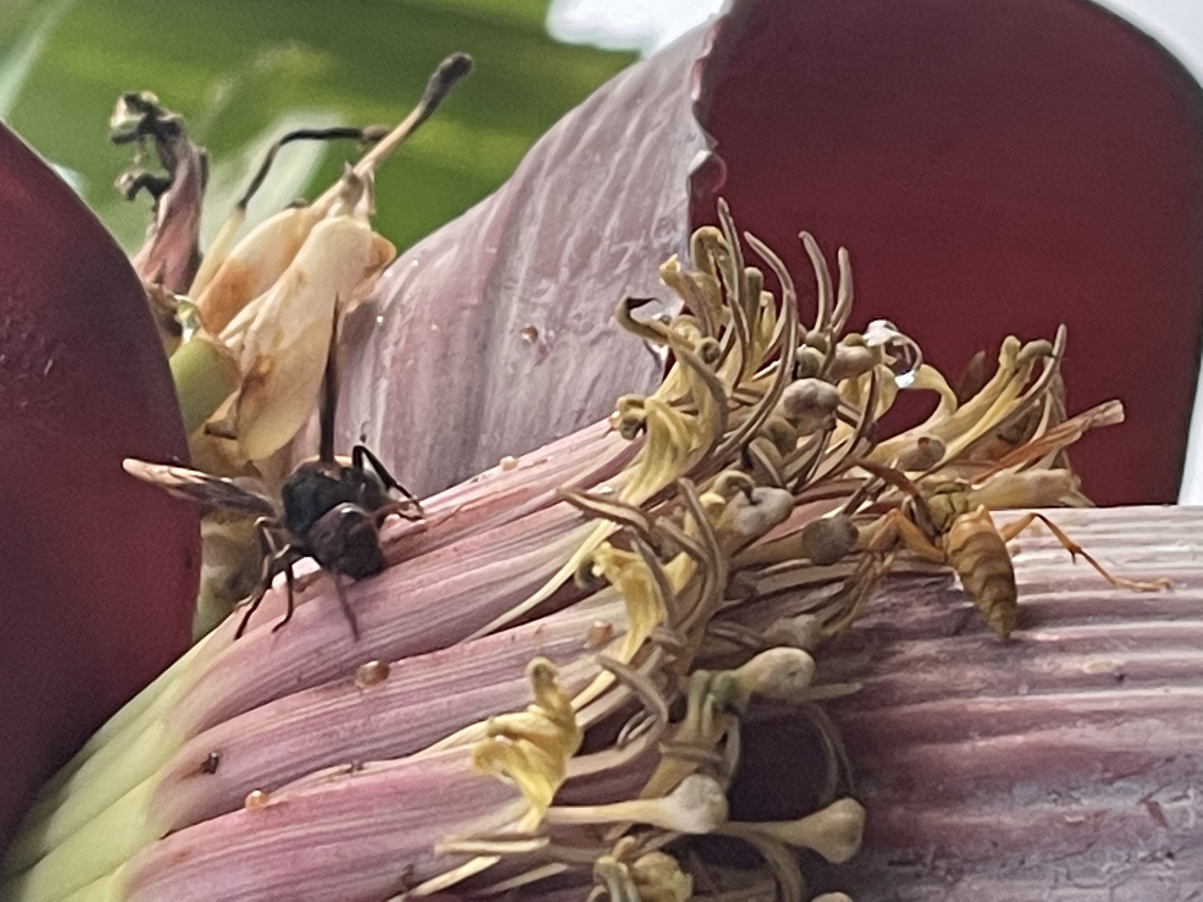 B9664D36-CA18-4052-A7BD-6681114EC80A.jpeg