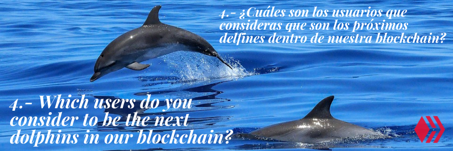 4.- ¿Cuáles son los usuarios que consideras que son los próximos delfines dentro de nuestra blockchain.png