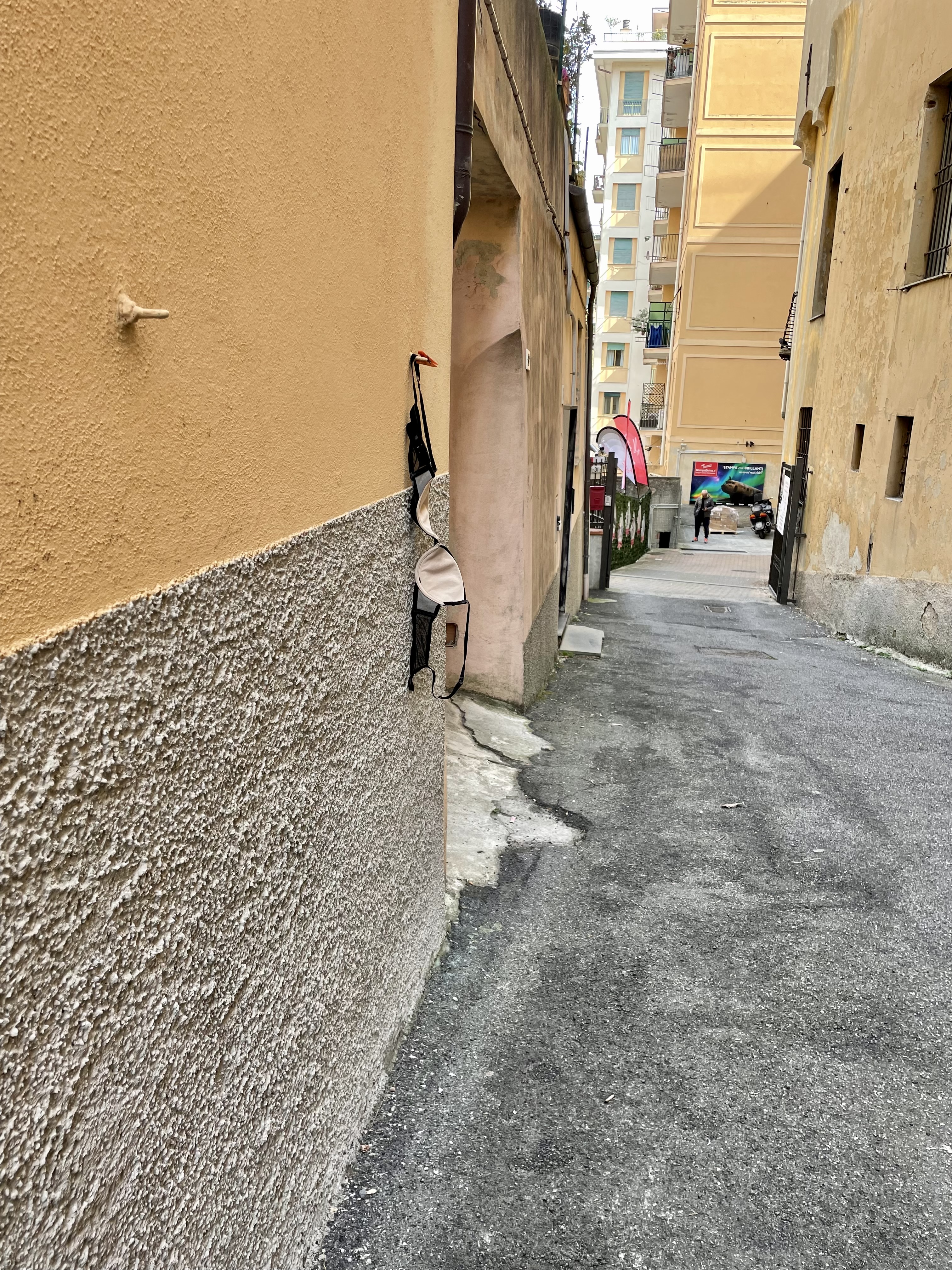 IMG-8700.jpg