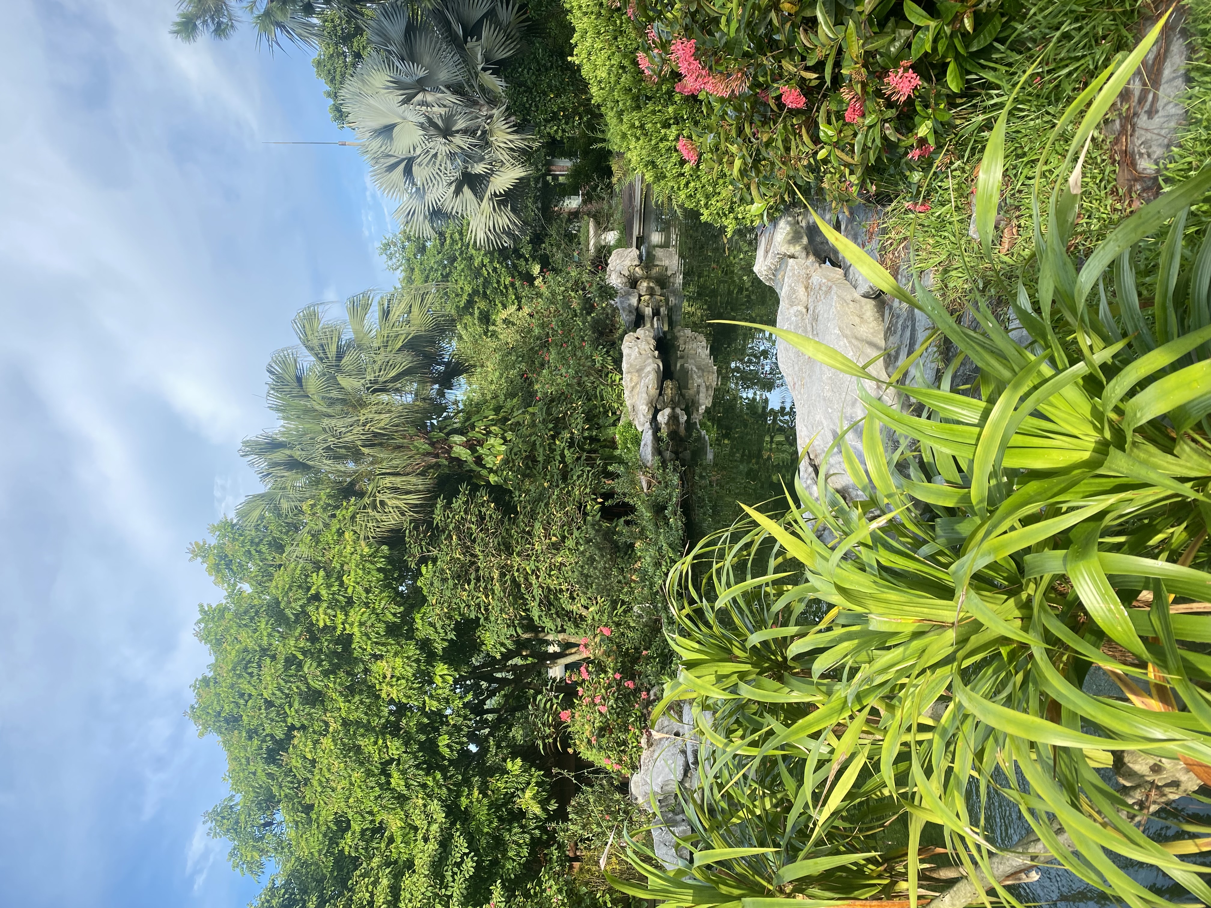 IMG_8437.jpeg