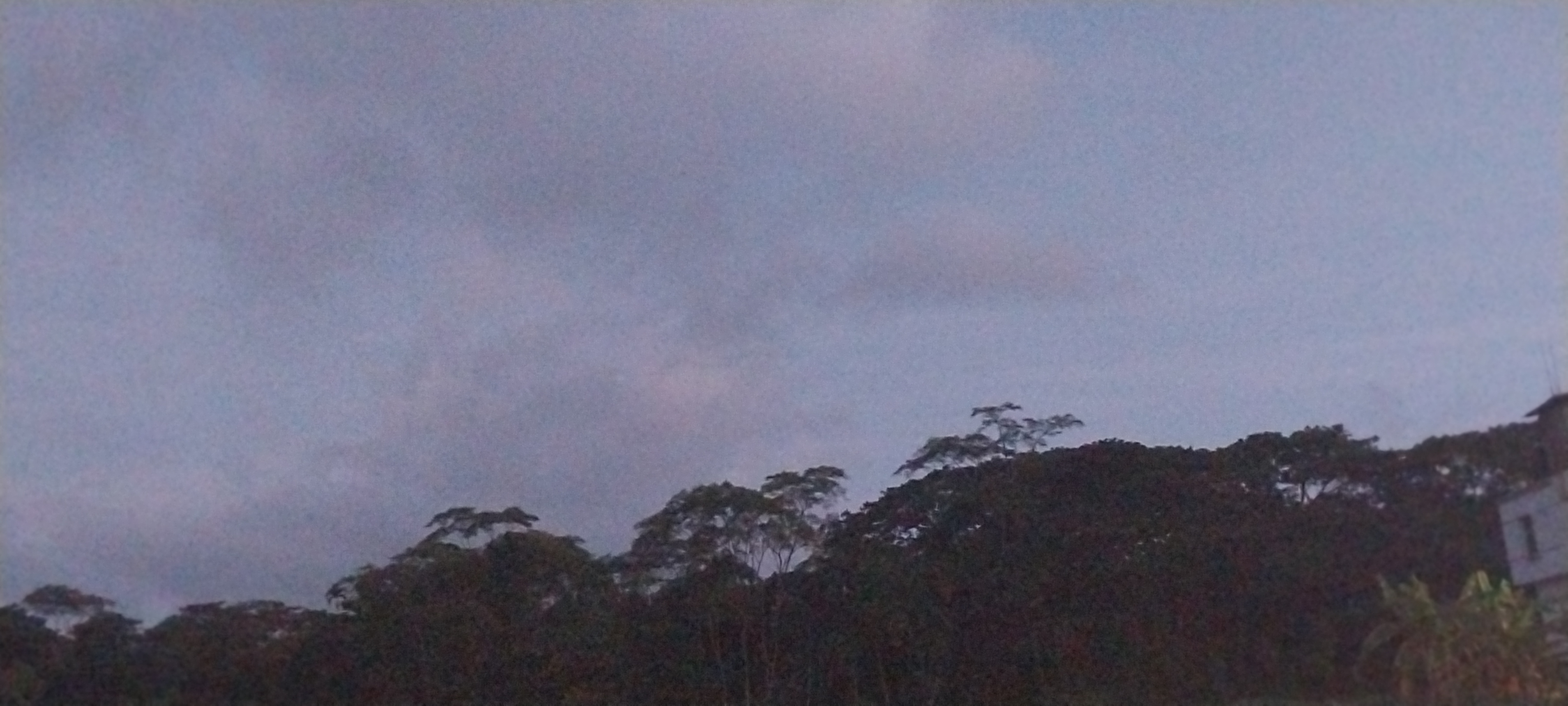 20250627_191025.jpg