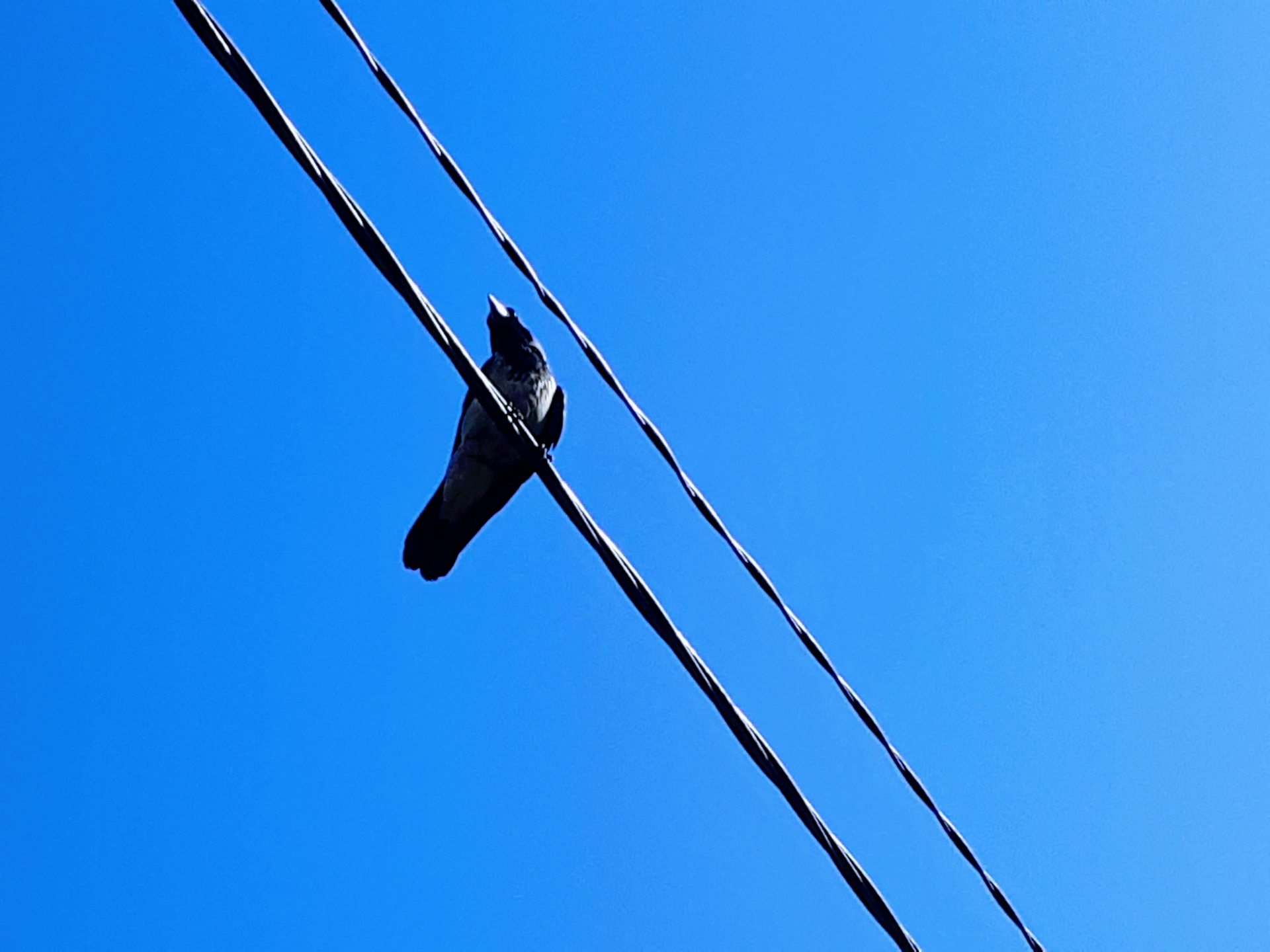 20210609_083726.jpg