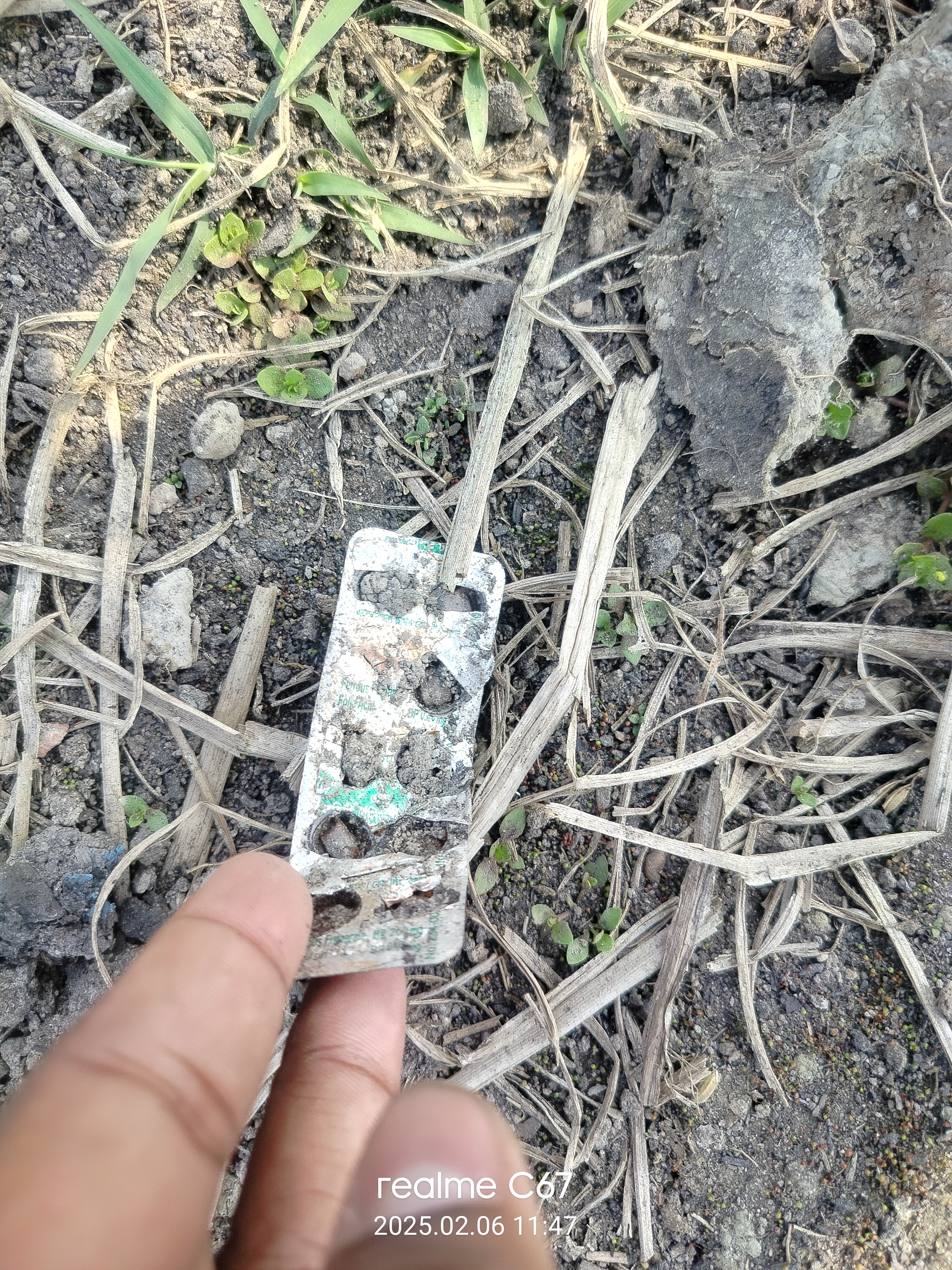 IMG20250206114711.jpg