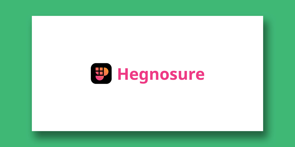 LOGO DESIGN_Hegnosure_PRESENTATION_2.jpg