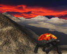 imagen.png