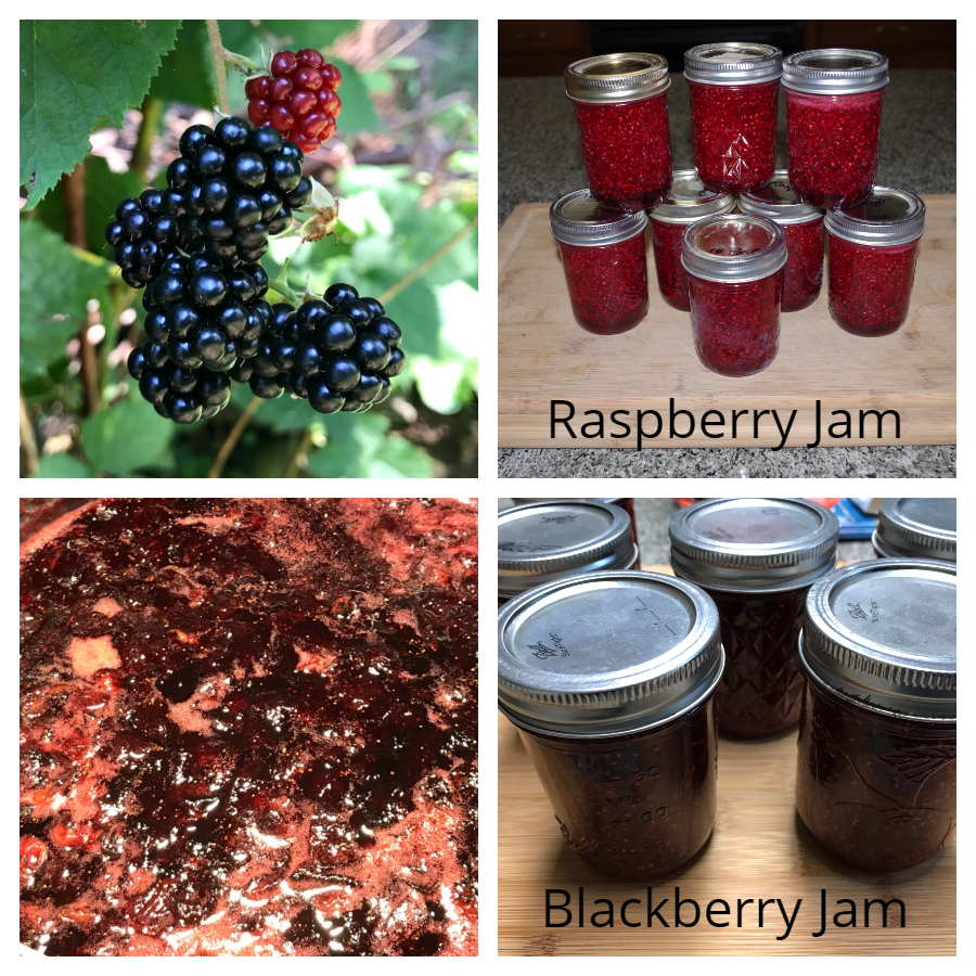 canning blackberry jam.jpg