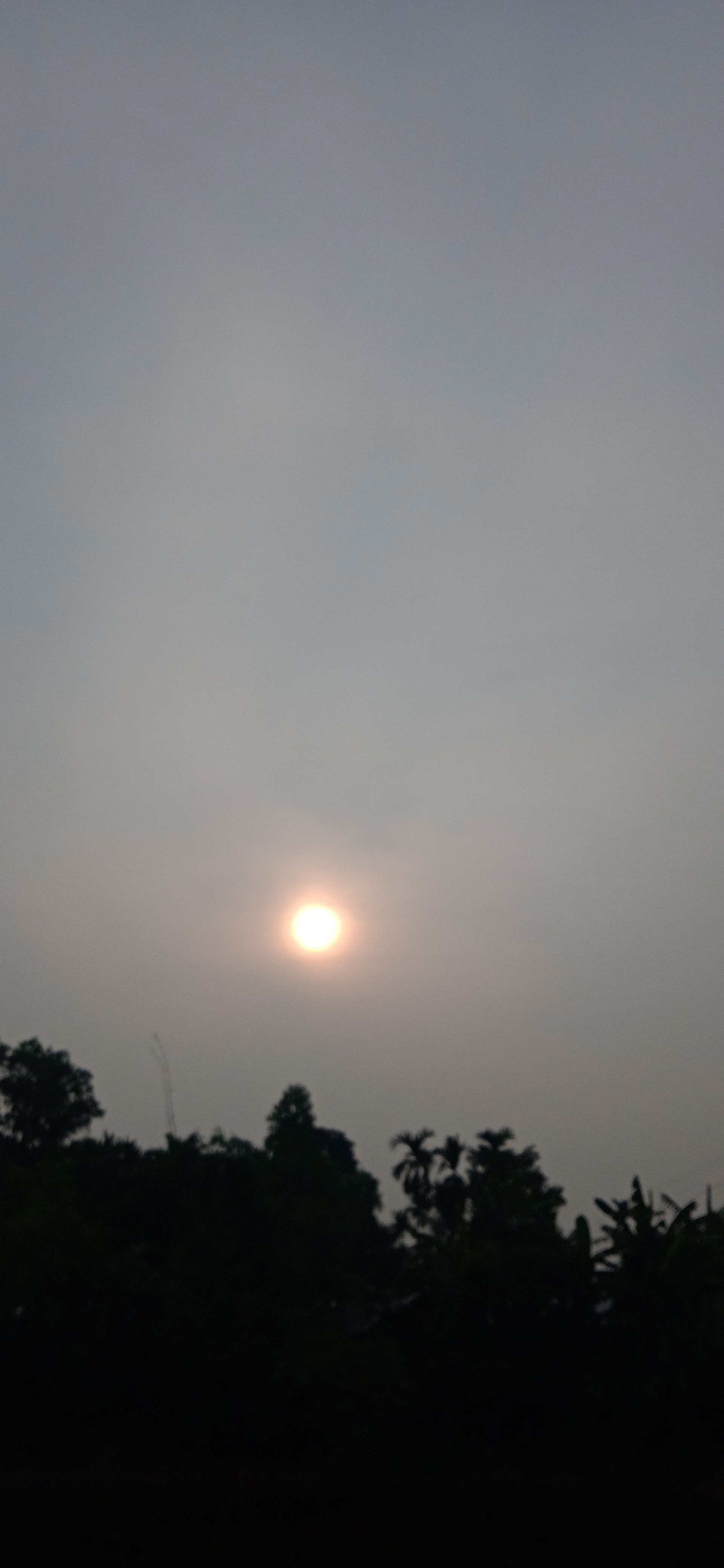 IMG_20220827_070131_1.jpg