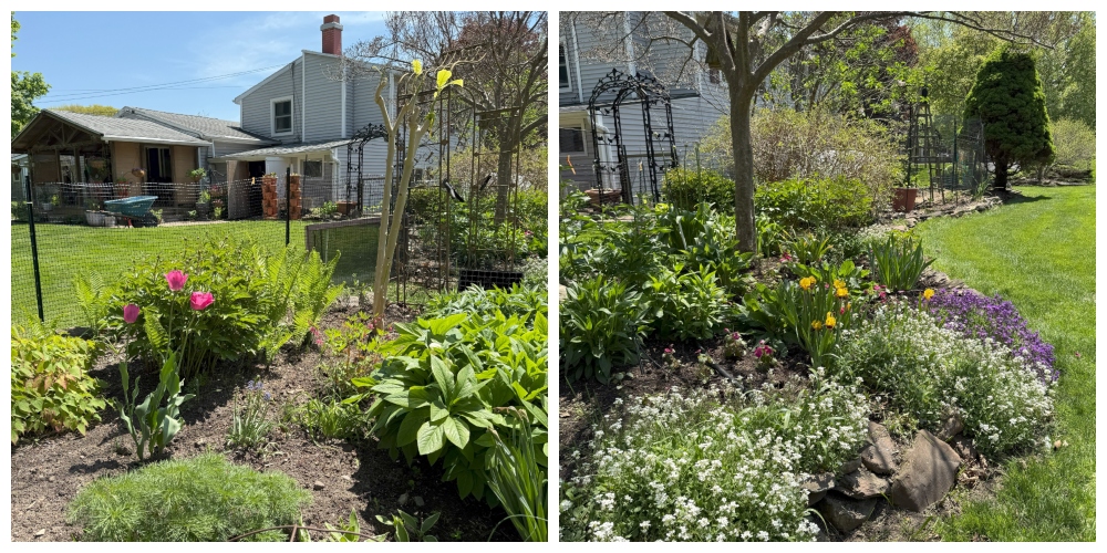 hivegarden-shade gardens.jpg