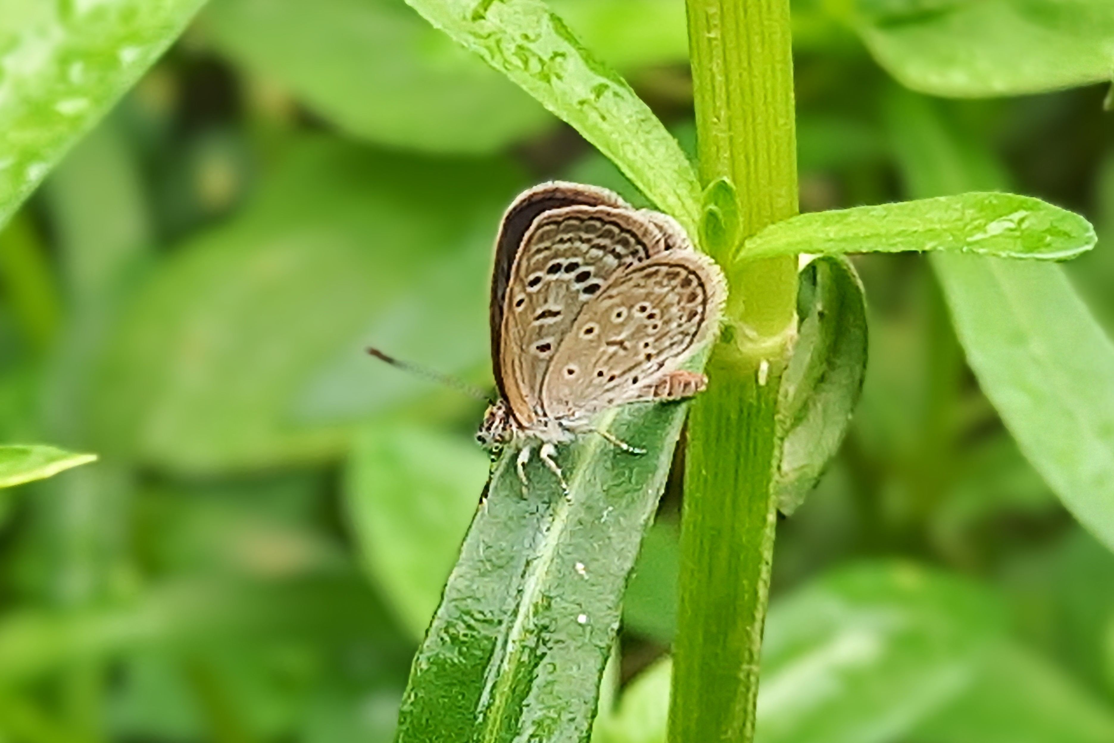 20250620_101551~2.jpg