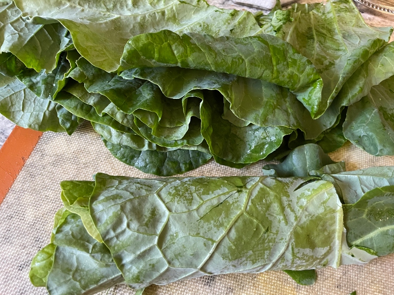 foodiesbeehive-dehydrating-cabbage-5.jpg