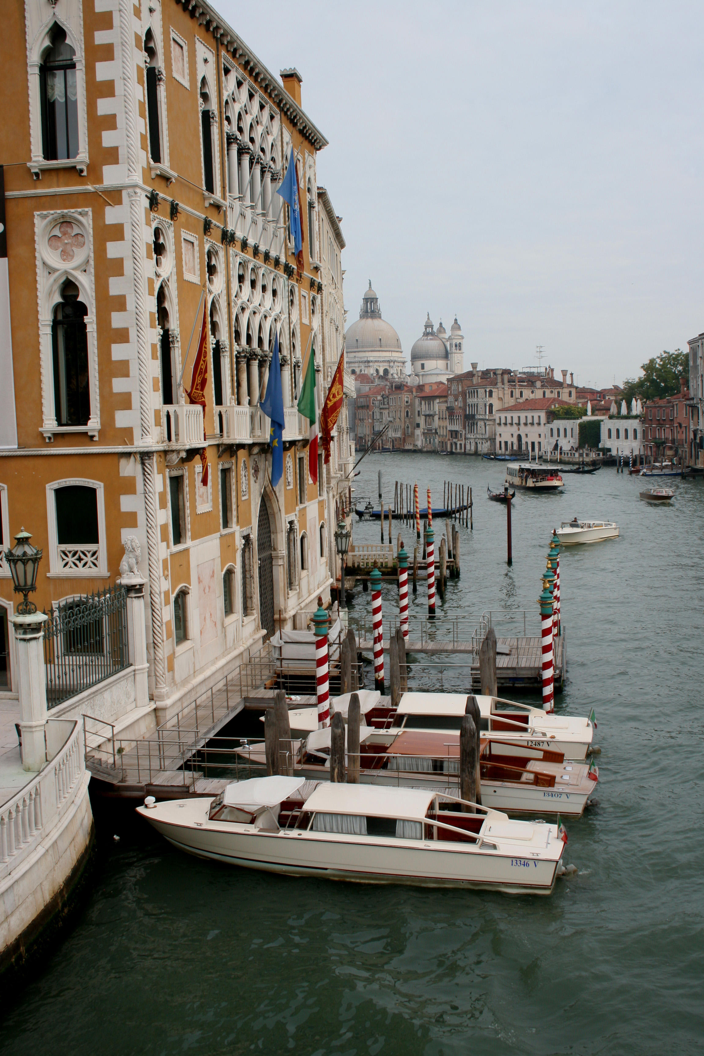 IMG_2537.jpg