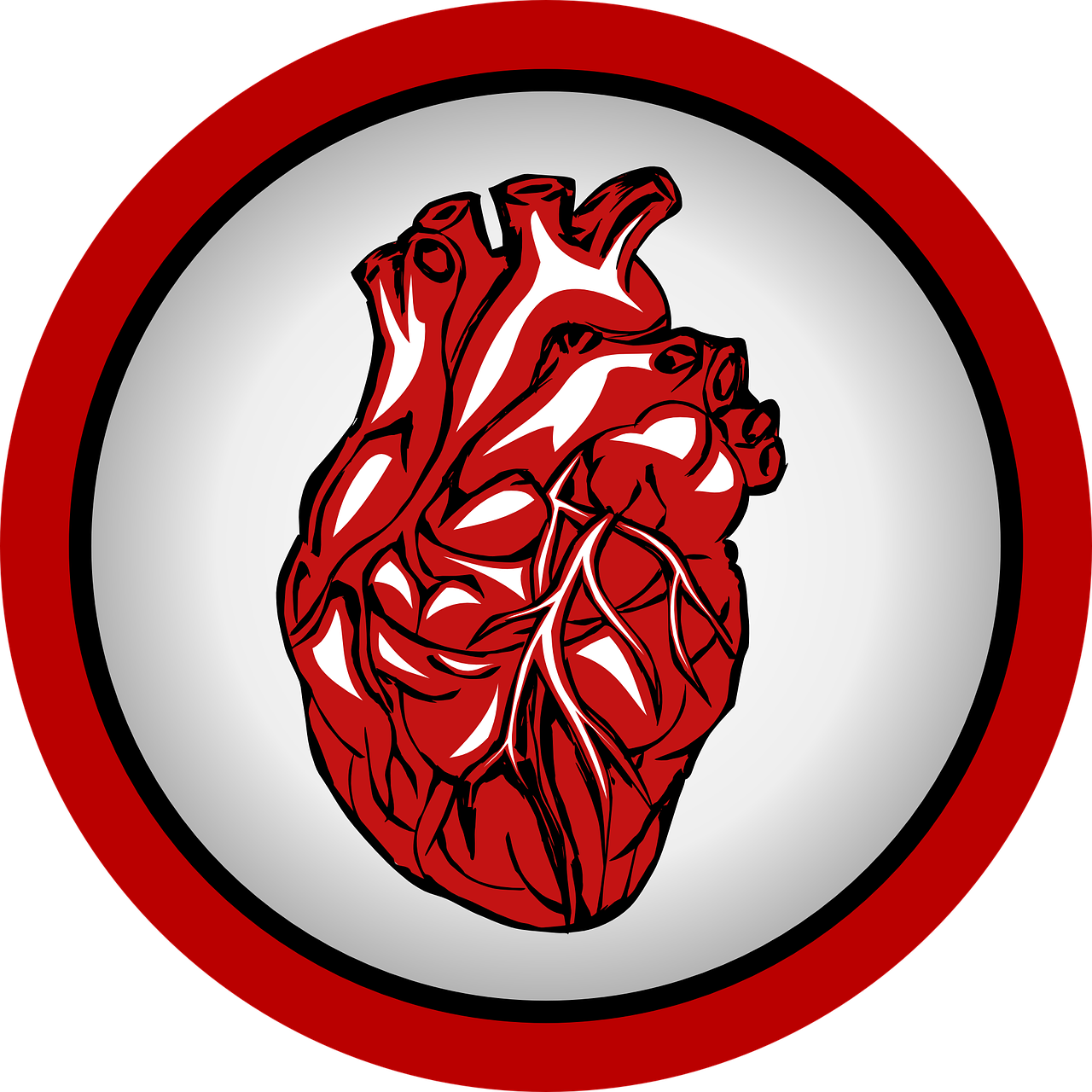 heart-738385_1280.png
