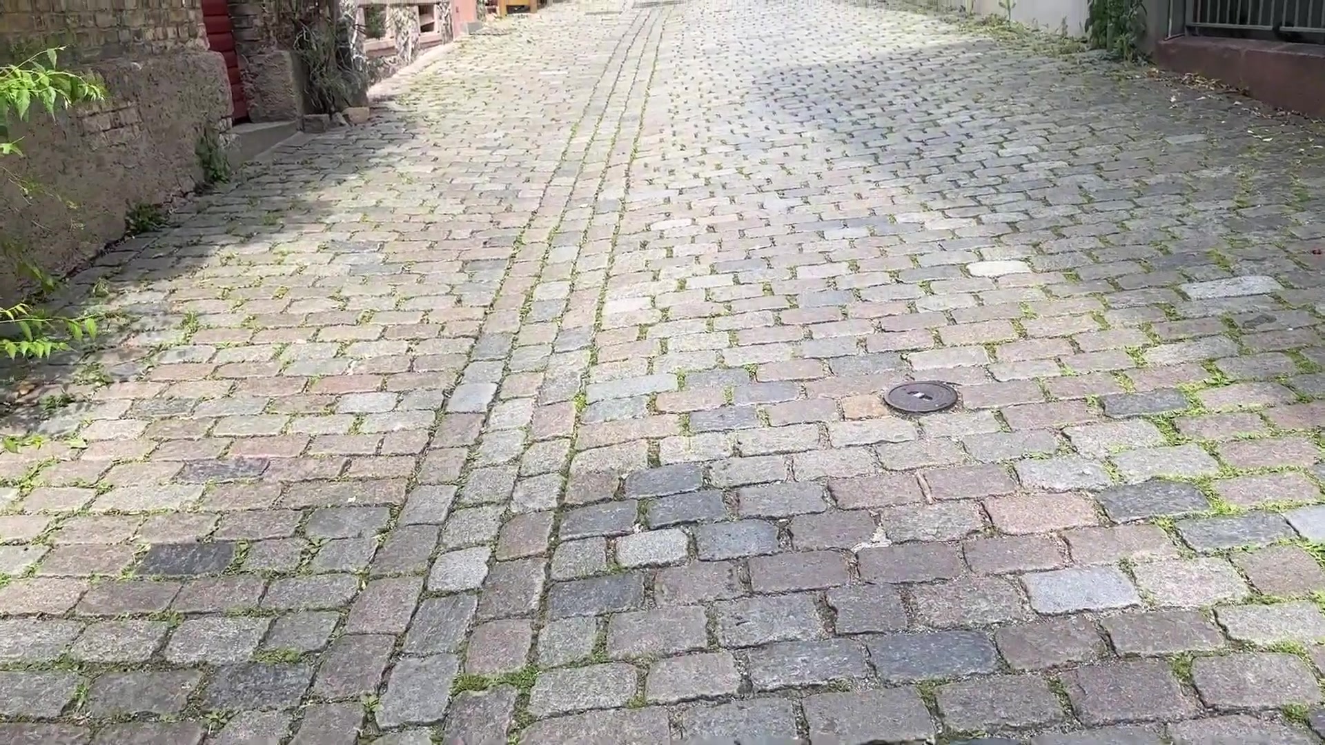 319.jpg