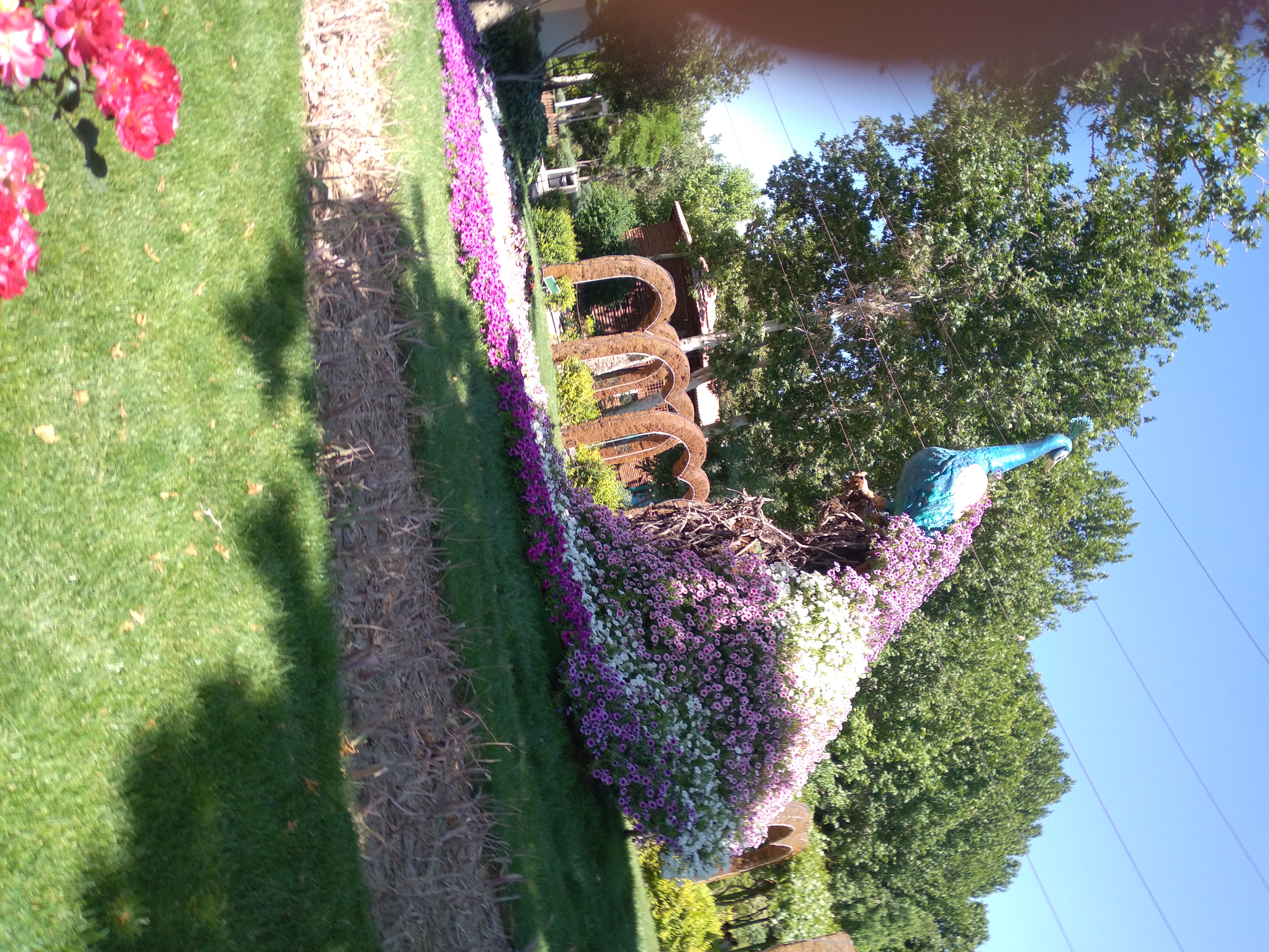 20250508_135702.jpg