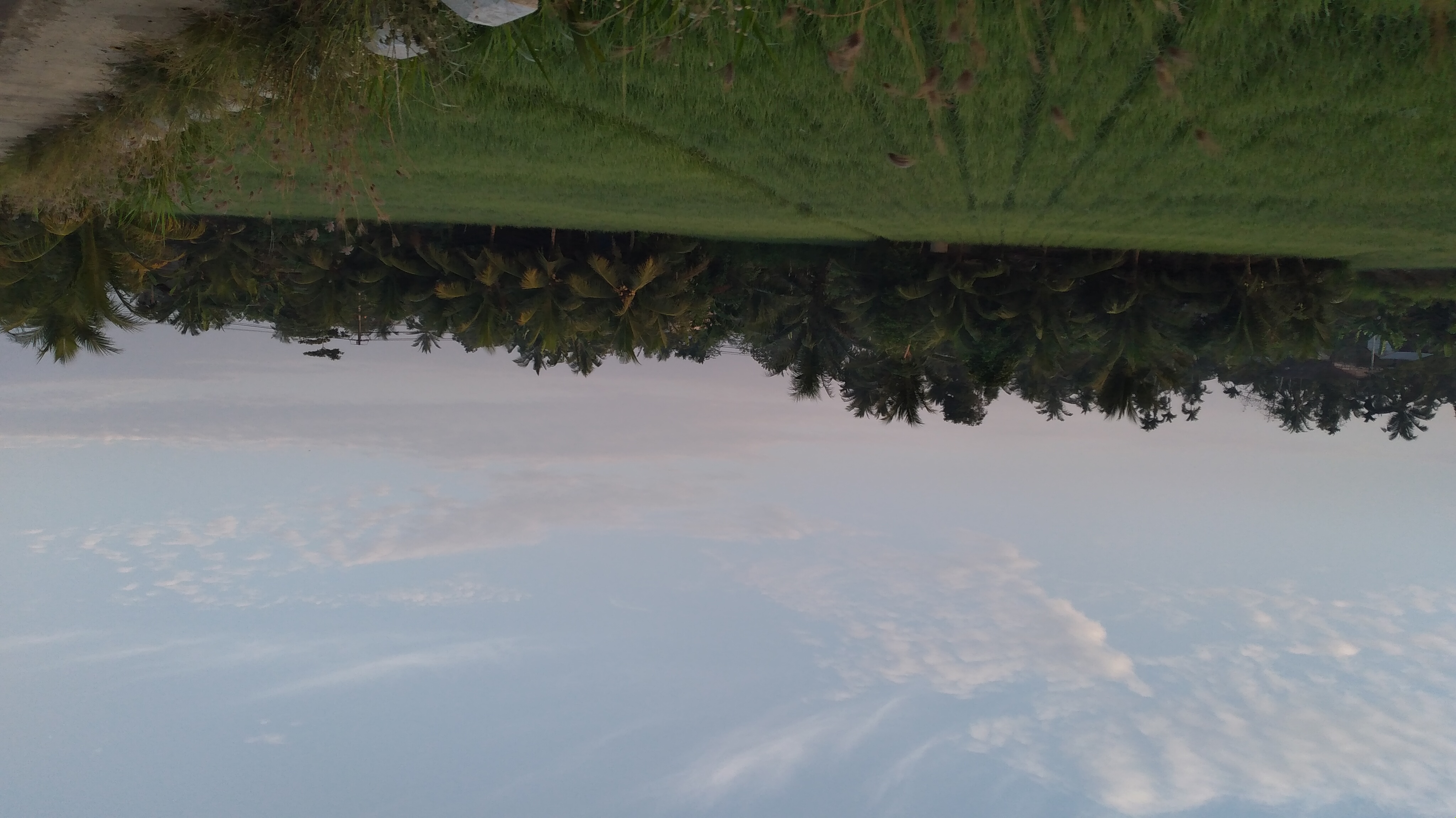 20240317_065955.jpg