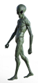 imagen.png