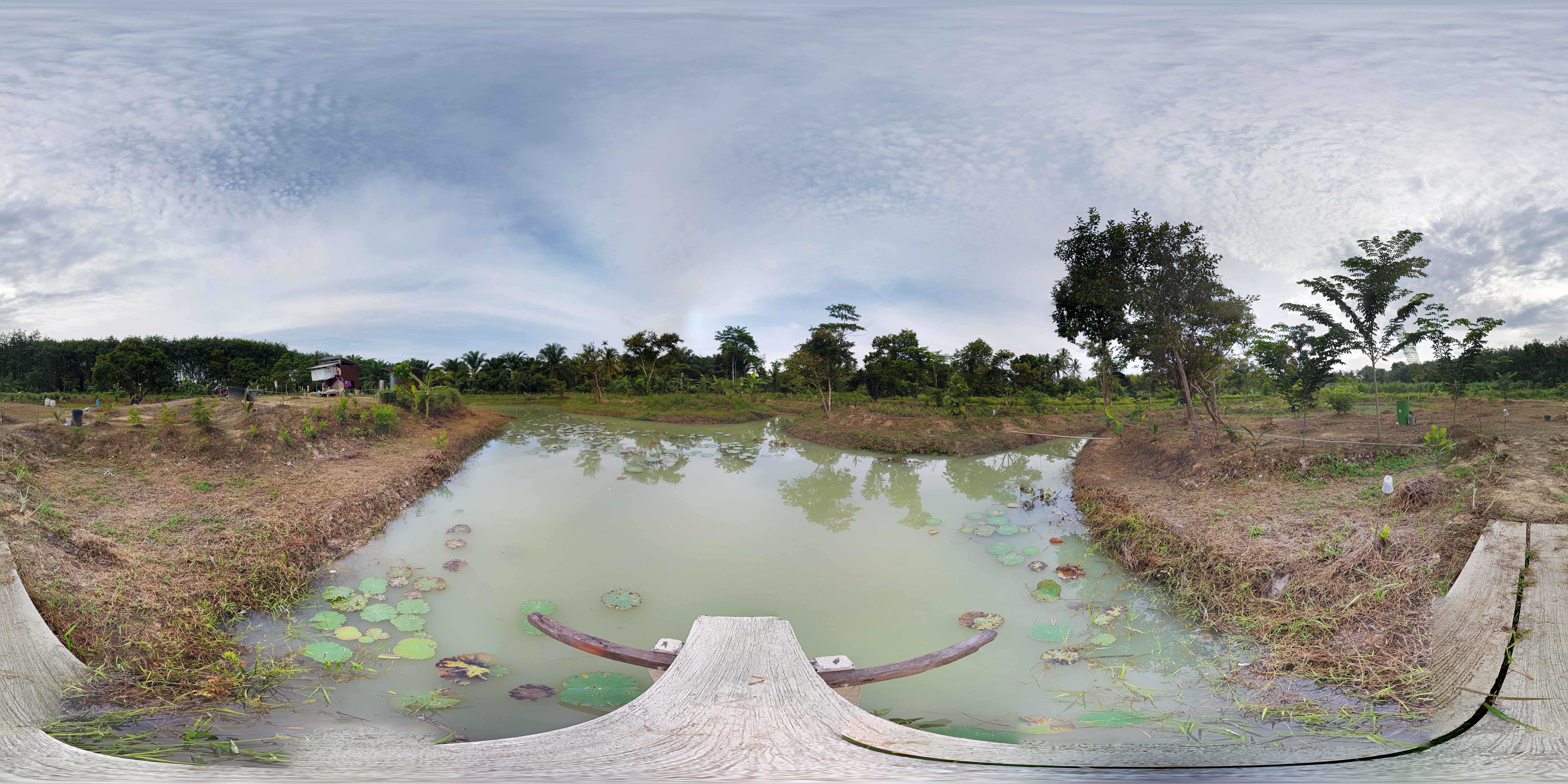 PANO_20210609_081638_0.jpg