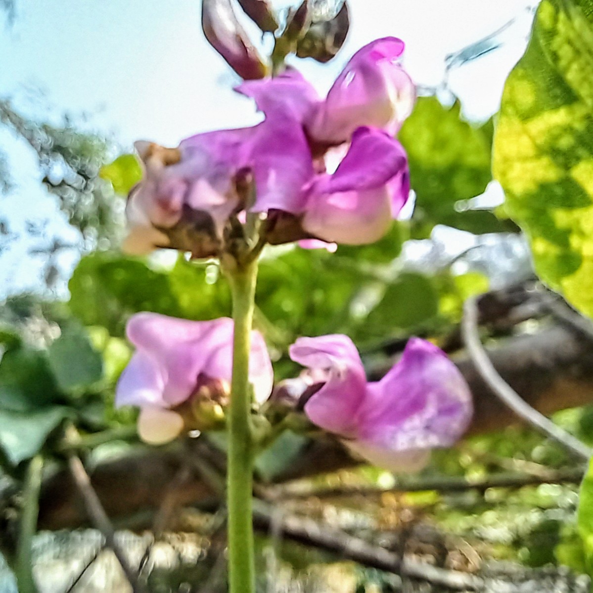 20250120_134052~2.jpg