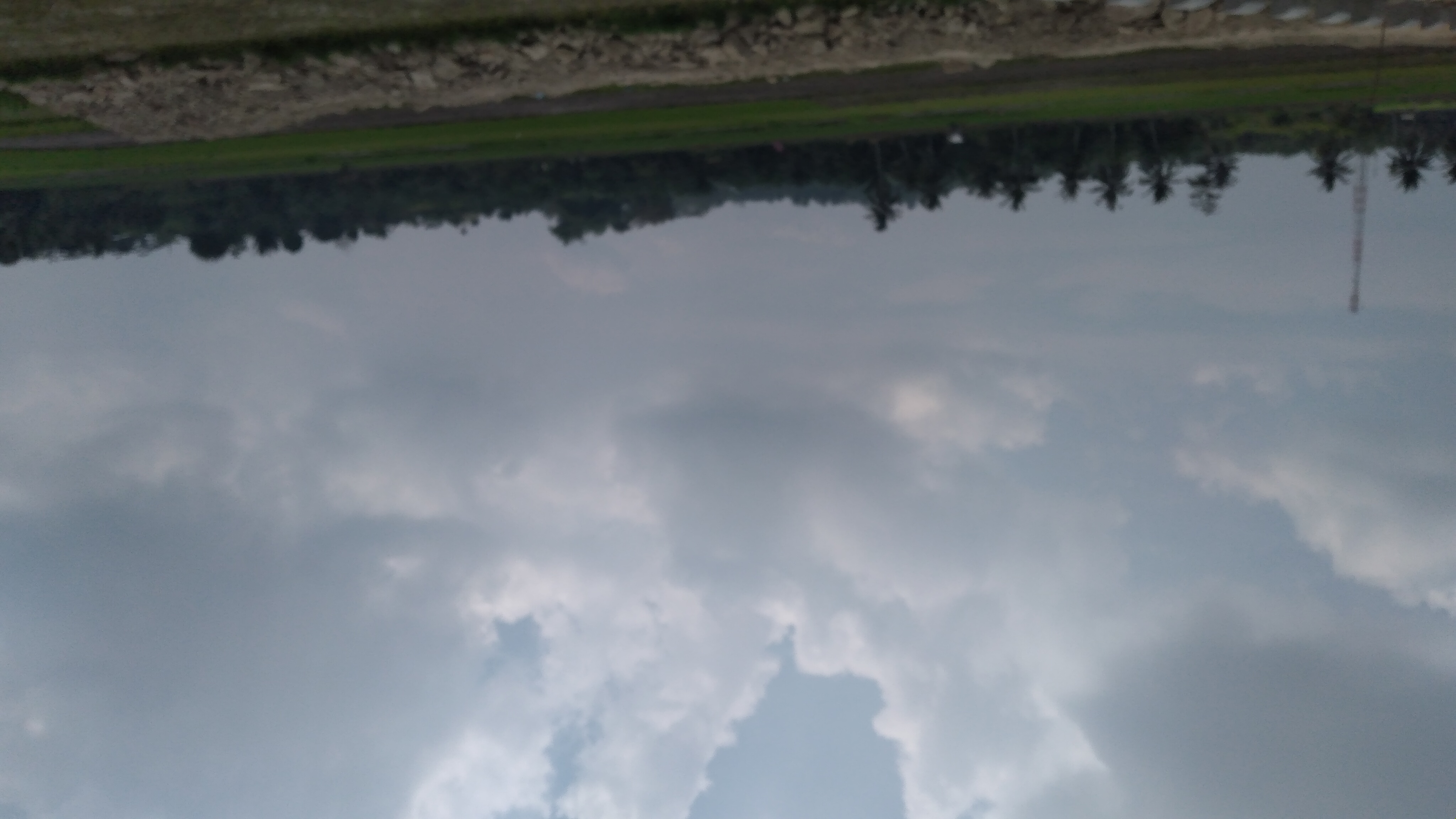 20240206_122631.jpg