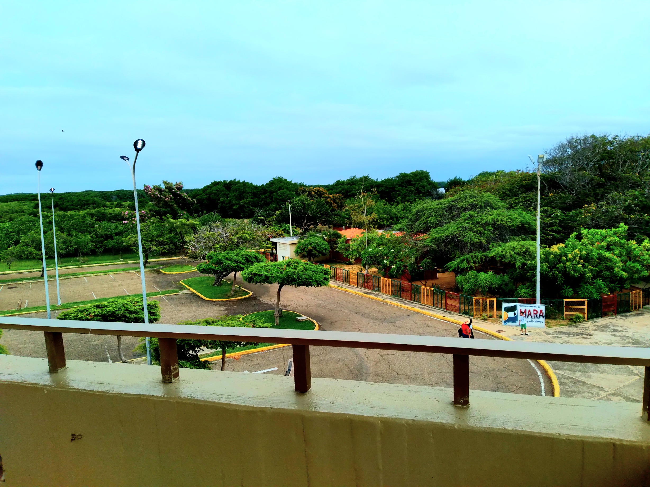 20250426_100938.jpg